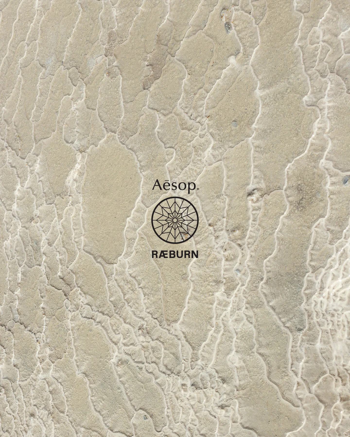 AESOP — Reaburn Campaign, image 4, photographed by Nina Raasch